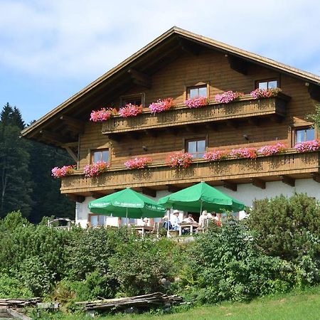 מלון האוצנברג Berggasthof Sonnenalm מראה חיצוני תמונה