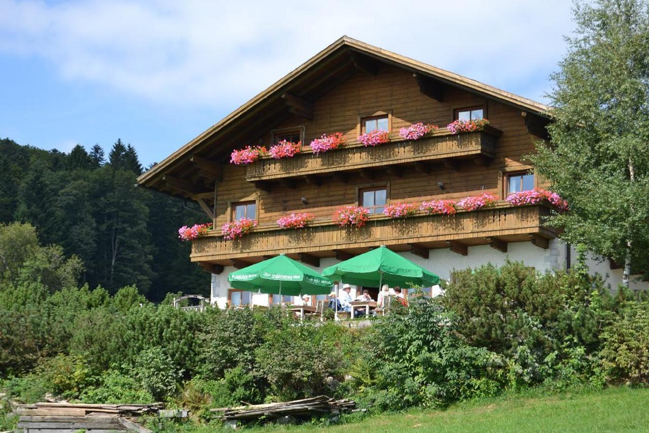 מלון האוצנברג Berggasthof Sonnenalm מראה חיצוני תמונה