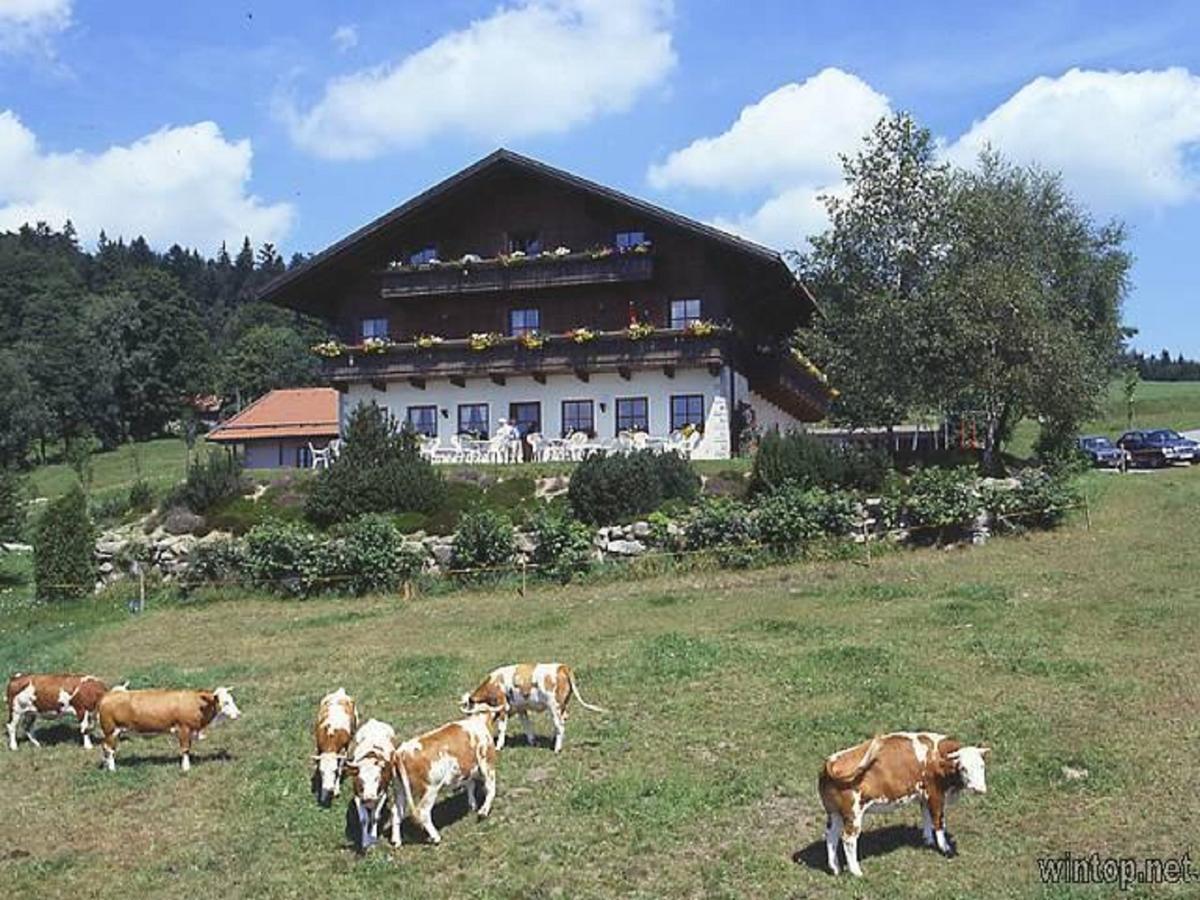 מלון האוצנברג Berggasthof Sonnenalm מראה חיצוני תמונה